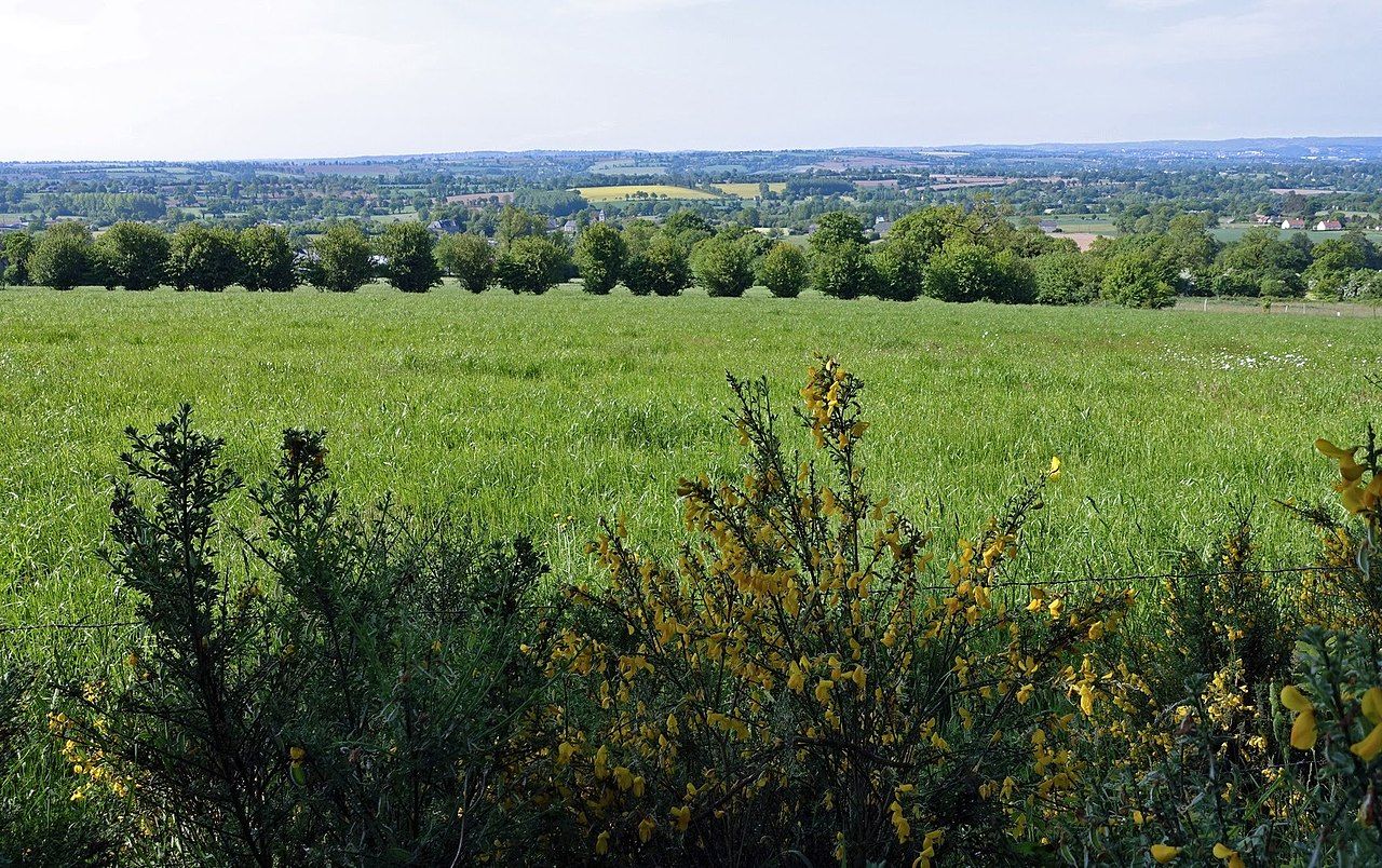 Paysages de haies et de collines