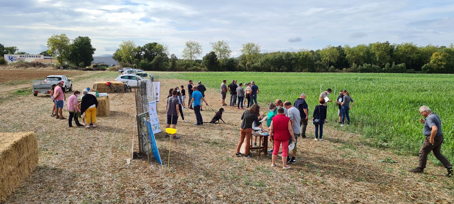 Animation de la Chambre d’agriculture et des agriculteurs du GIEE Sols Vivants