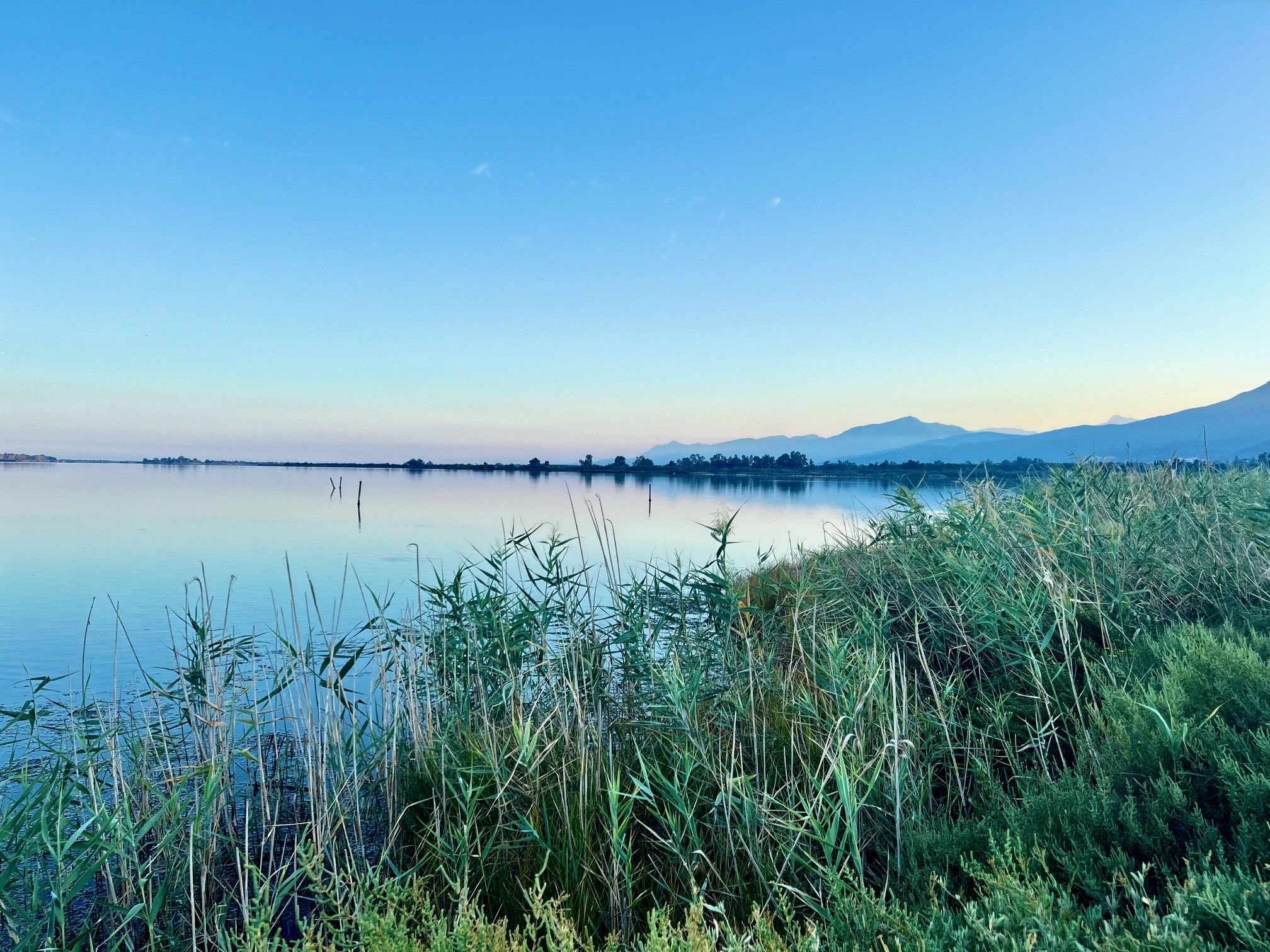 Paysage de baie à à l'aube, image prise de la berge avec un ciel sans nuage en arrière-fond