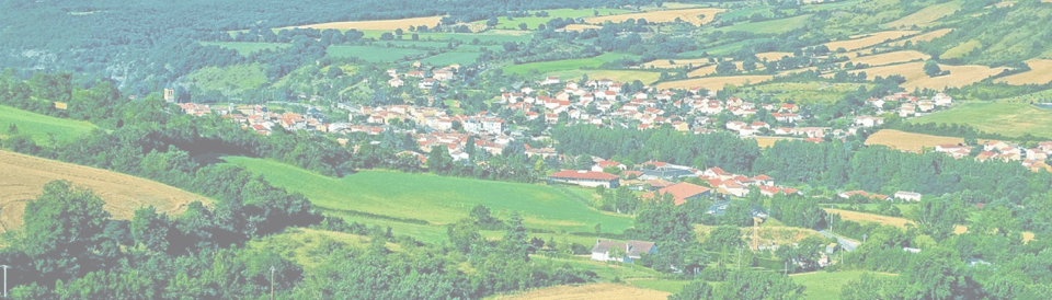 Paysage d'une ville entourée de forêt