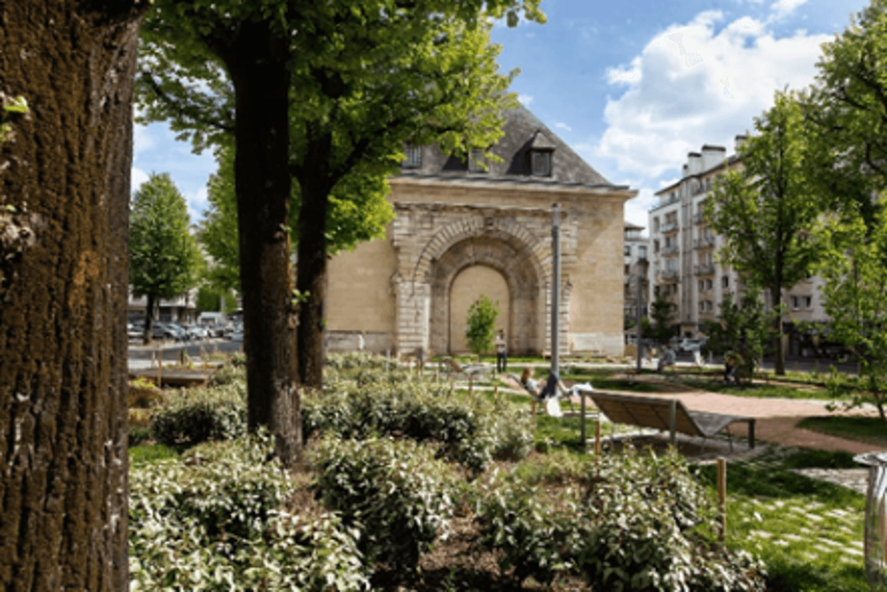 Jardin public arboré