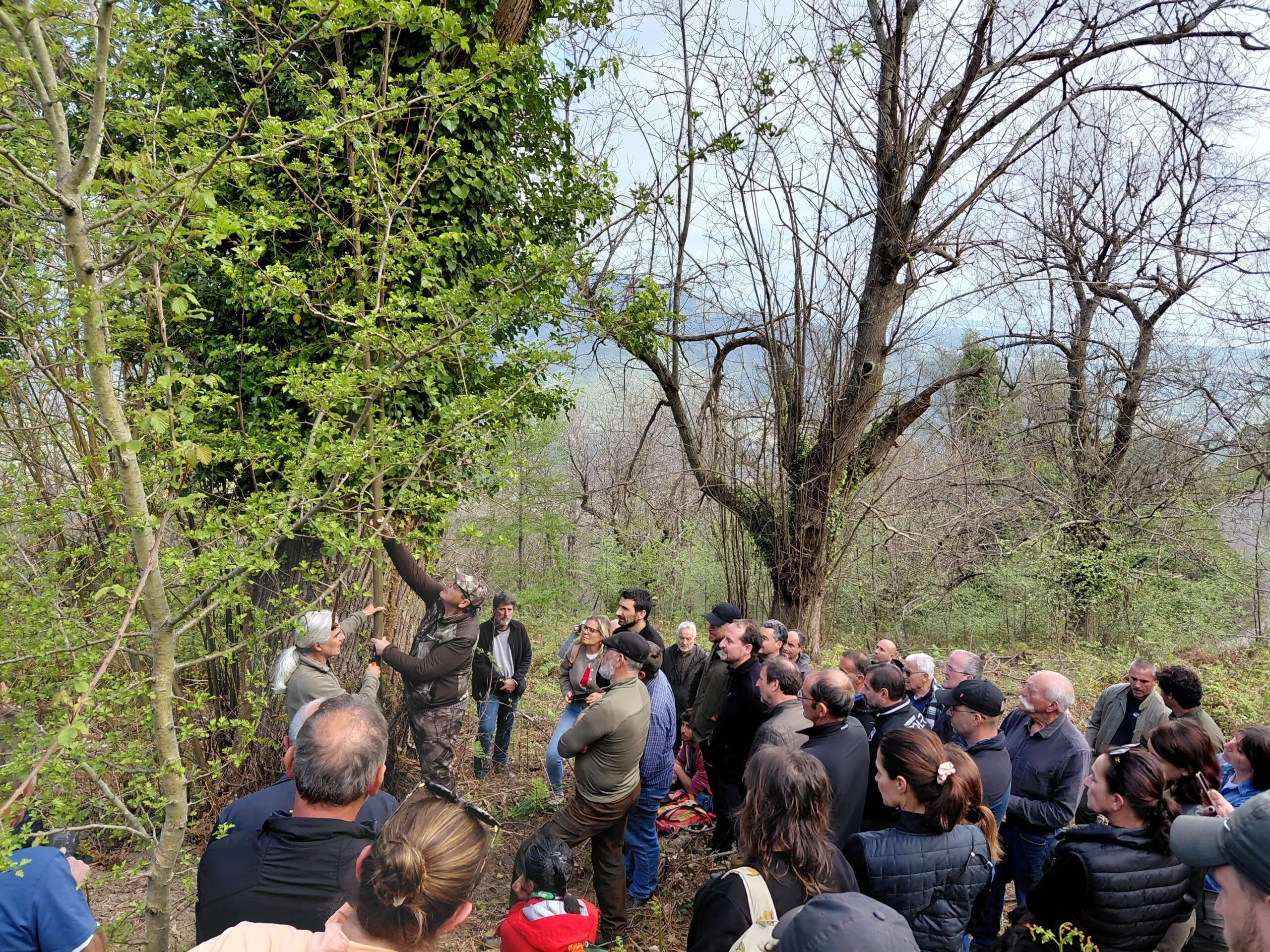 Groupe de personnes dans une forêt et regardant un arbre en particulier