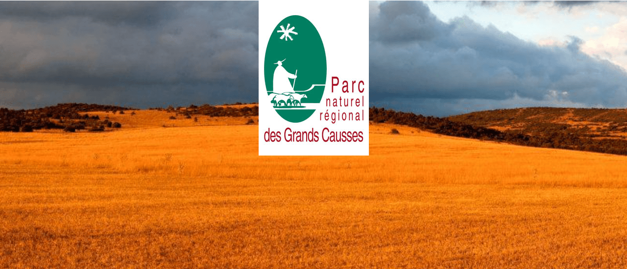 panorama champs sans arbre et ciel orageux